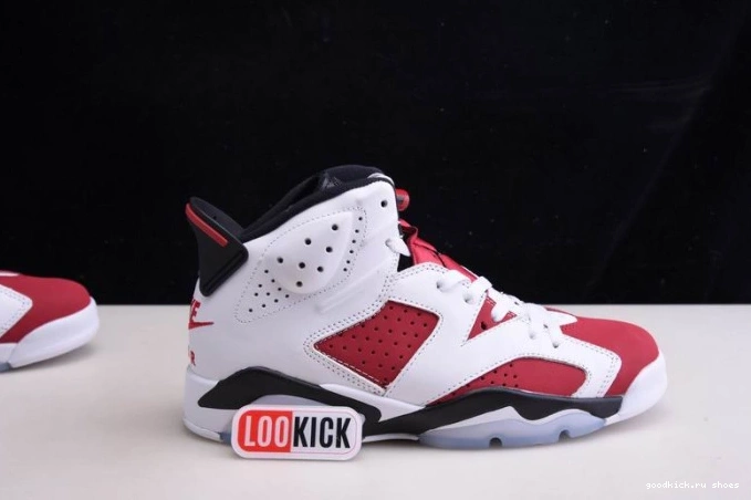 JORDAN 6 CT8529-106 2021 RETRO AIR 'CARMINE' 0812